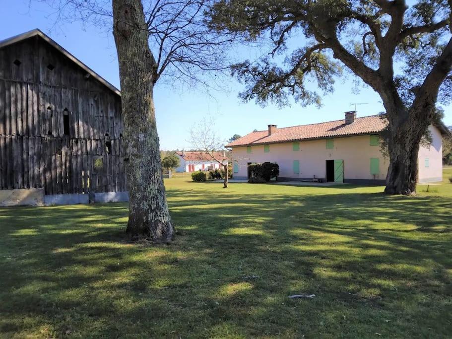 Le Petit Frouas Sud Apartment Vielle-Saint-Girons Bagian luar foto