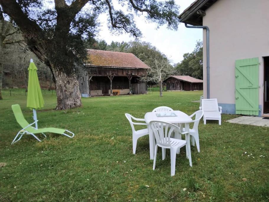 Le Petit Frouas Sud Apartment Vielle-Saint-Girons Bagian luar foto