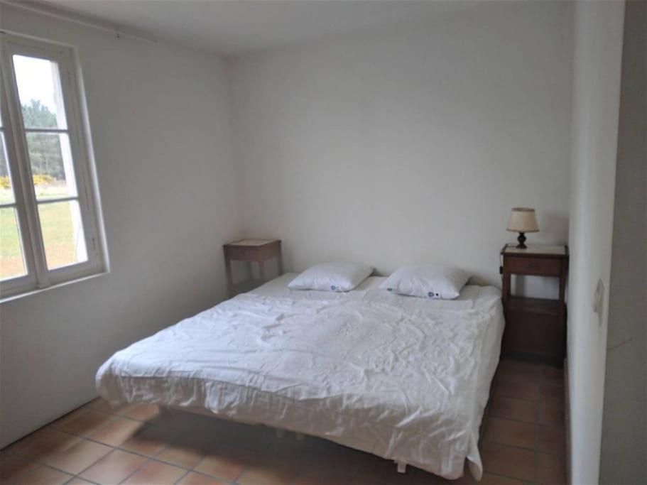 Le Petit Frouas Sud Apartment Vielle-Saint-Girons Bagian luar foto